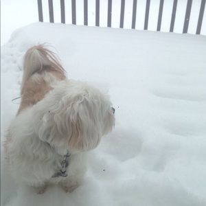 Meet your Posher, Melanie